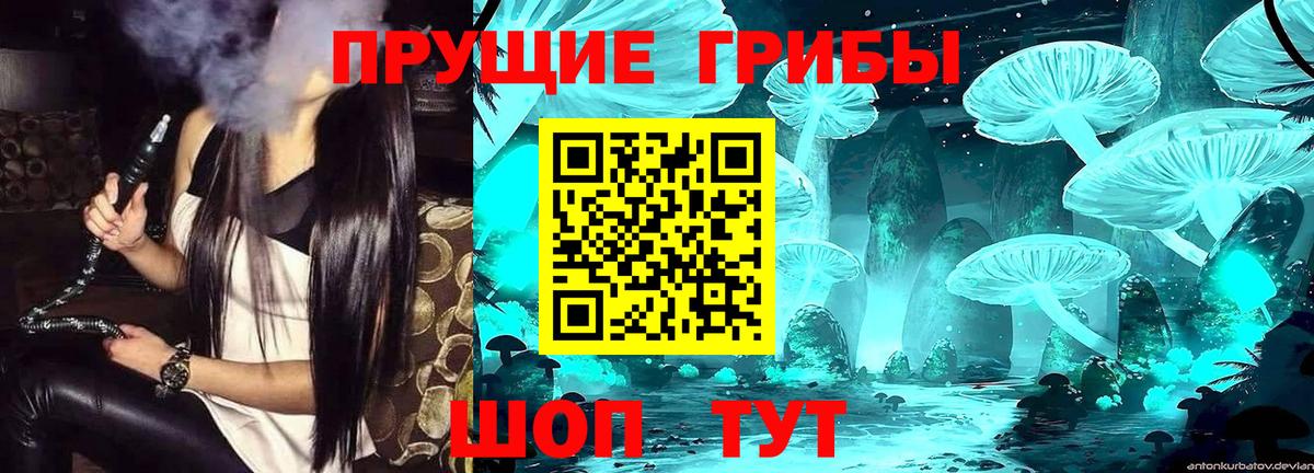 Черняховск  Галлюциногенные грибы Magic Shrooms  Вход с VPN 